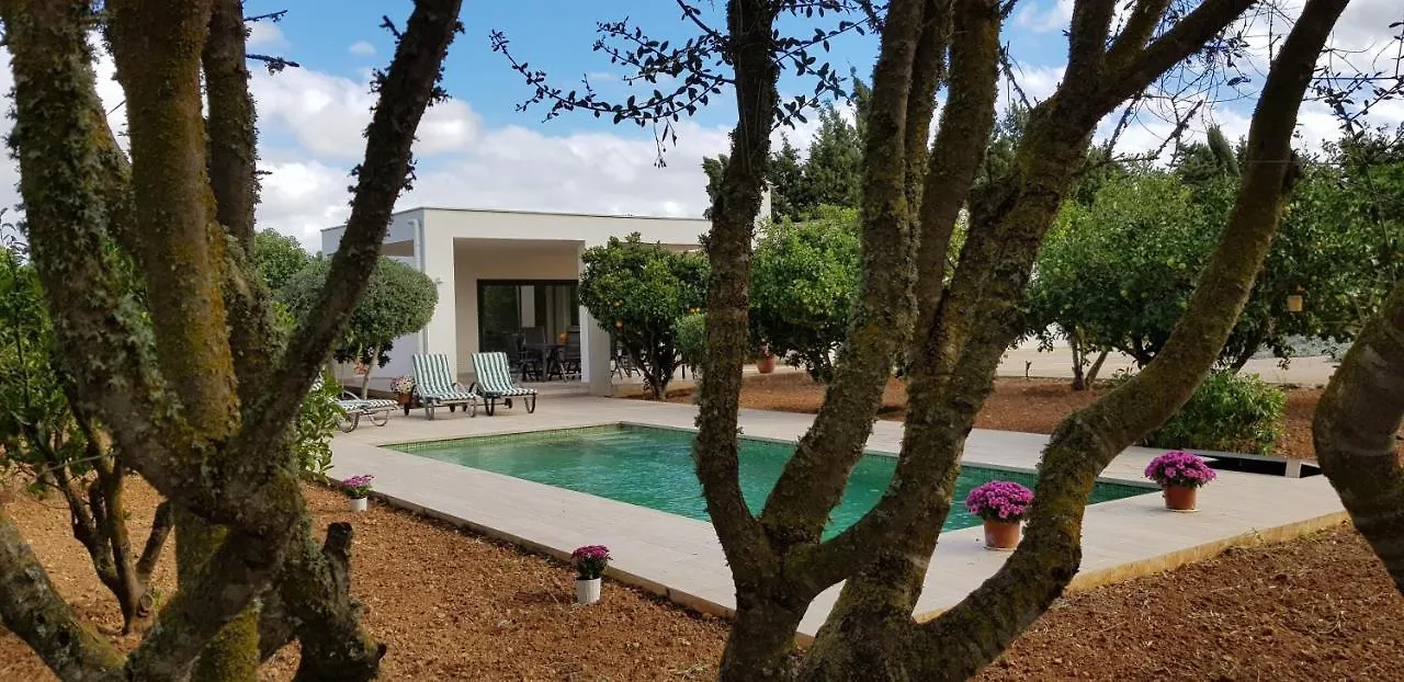 Son Drago - #124305 Villa Manacor  Spain