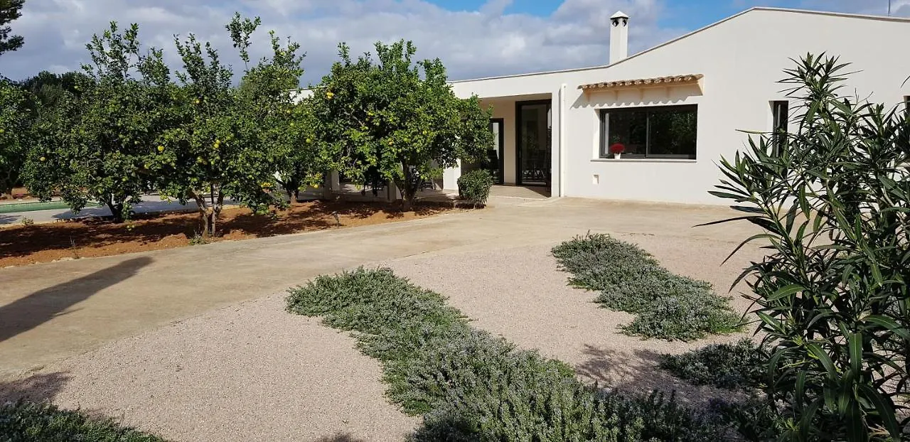Son Drago - #124305 Villa Manacor  0*, Manacor (Mallorca) Spain